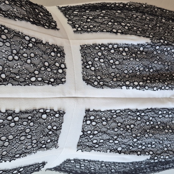 Bcbg Maxazria Rumor Dress White Black Lace Blocked Sheath Dress Size 8 - Picture 13 of 17